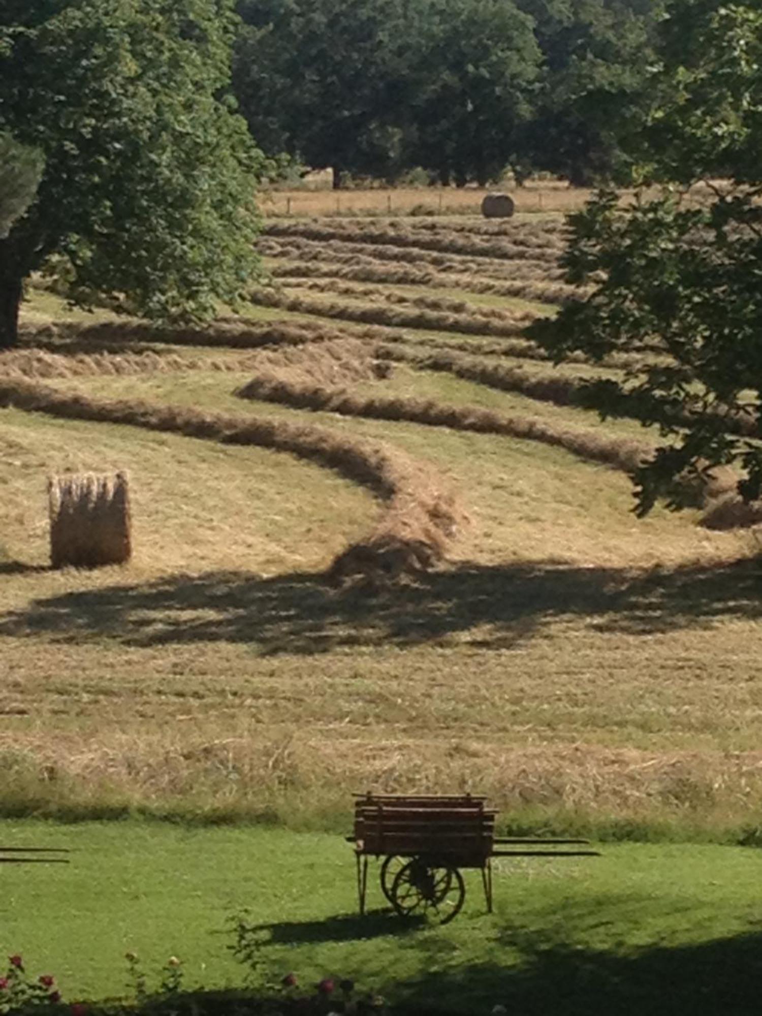 Domaine Du Buc, Le Chateau Marssac-sur-Tarn Esterno foto